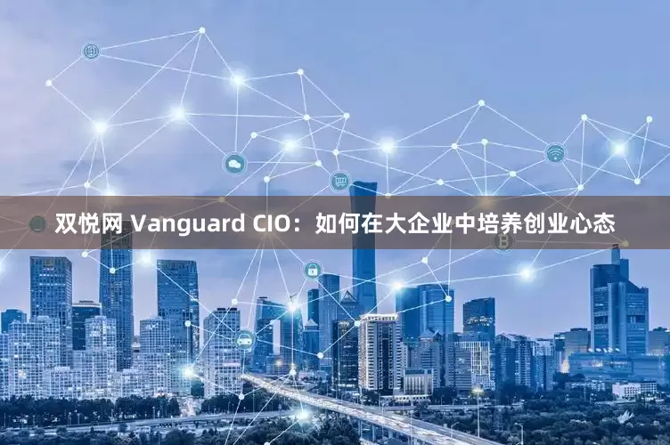 双悦网 Vanguard CIO：如何在大企业中培养创业心态