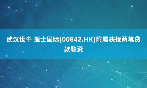武汉世牛 理士国际(00842.HK)附属获授两笔贷款融资